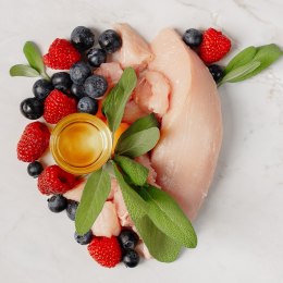Comfy Appetit Vita Indyk 400g - monoproteinowa karma dla psów Aquael