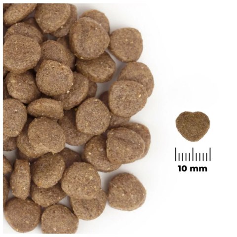 Comfy Appetit Vita Superfood Lamb 12kg - monobiałkowa karma dla psów dorosłych i szczeniąt Aquael Comfy Appetit Vita Superfood Lamb 12kg - monobiałkowa karma dla psów dorosłych i szczeniąt Aquael