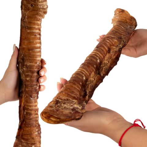 Dogario Bonni Beef Throat XXL - chrupki gryzak 40cm - 50cm Dogario Dogario Bonni Beef Throat XXL - chrupki gryzak 40cm - 50cm Dogario