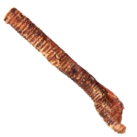 Dogario Bonni Beef Throat XXL - chrupki gryzak 40cm - 50cm Dogario Dogario Bonni Beef Throat XXL - chrupki gryzak 40cm - 50cm Dogario