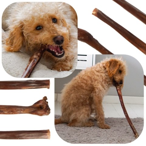 Dogario Bonni Long Crisp - przysmak chrupiący 30cm Dogario Dogario Bonni Long Crisp - przysmak chrupiący 30cm Dogario