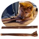 Dogario Bonni Long Crisp - przysmak chrupiący 30cm Dogario