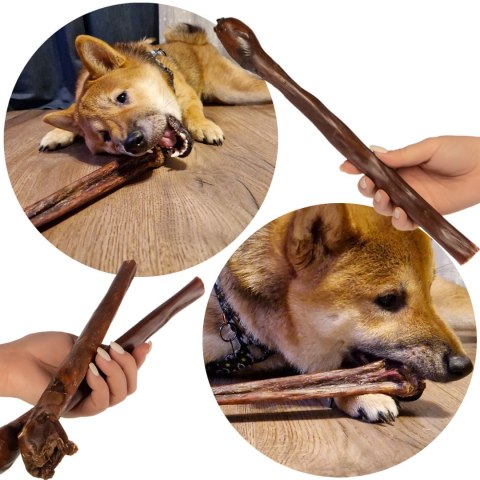 Dogario Bonni Long Crisp - przysmak chrupiący 30cm Dogario Dogario Bonni Long Crisp - przysmak chrupiący 30cm Dogario