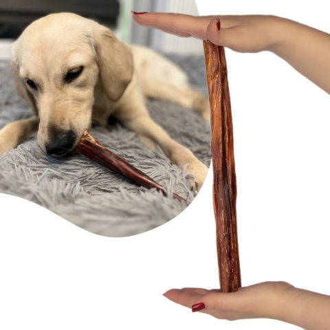 Dogario Bonni Penis Long - twardy przysmak dla psów 30cm Dogario Dogario Bonni Penis Long - twardy przysmak dla psów 30cm Dogario