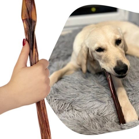 Dogario Bonni Penis Long - twardy przysmak dla psów 30cm Dogario Dogario Bonni Penis Long - twardy przysmak dla psów 30cm Dogario