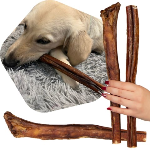 Dogario Bonni Penis Long - twardy przysmak dla psów 30cm Dogario Dogario Bonni Penis Long - twardy przysmak dla psów 30cm Dogario