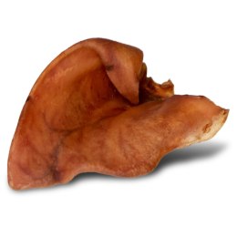 Dogario Bonni Pig's Ear L - duże wieprzowe ucho gryzak dla psa Dogario