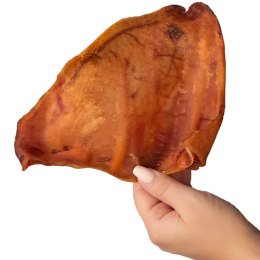 Dogario Bonni Pig's Ear L - duże wieprzowe ucho gryzak dla psa Dogario