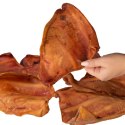 Dogario Bonni Pig's Ear L - duże wieprzowe ucho gryzak dla psa Dogario