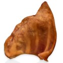 Dogario Bonni Pig's Ear L - duże wieprzowe ucho gryzak dla psa Dogario