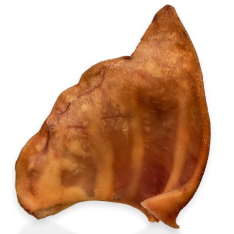 Dogario Bonni Pig's Ear L - duże wieprzowe ucho gryzak dla psa Dogario Dogario Bonni Pig's Ear L - duże wieprzowe ucho gryzak dla psa Dogario