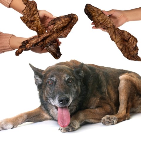 Dogario Bonni Smooth Meat XXL - mięso wołowe 2 sztuki Dogario Dogario Bonni Smooth Meat XXL - mięso wołowe 2 sztuki Dogario