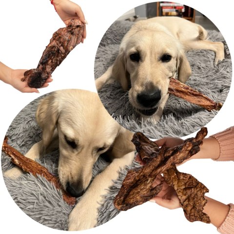 Dogario Bonni Smooth Meat XXL - mięso wołowe 2 sztuki Dogario Dogario Bonni Smooth Meat XXL - mięso wołowe 2 sztuki Dogario