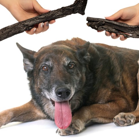 Dogario Bonni Soft for Senior - bardzo miękkie mięso dla seniorów Dogario Dogario Bonni Soft for Senior - bardzo miękkie mięso dla seniorów Dogario
