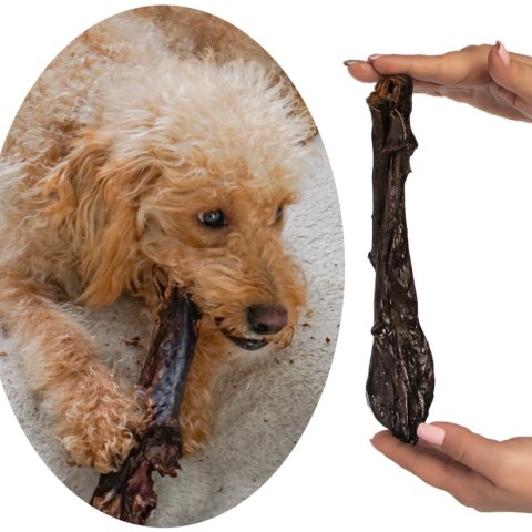 Dogario Bonni Soft for Senior - bardzo miękkie mięso dla seniorów Dogario Dogario Bonni Soft for Senior - bardzo miękkie mięso dla seniorów Dogario