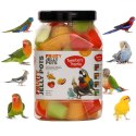 HappyPet Tweeter's Treats Fruity Jelly Pots 60 sztuk - mix smaków Happypet