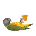 HappyPet Tweeter's Treats Fruity Jelly Pots 60 sztuk - mix smaków Happypet