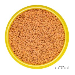 JBL Pronovo Betta Grano S 20ml - pokarm dla bojowników w granulacie JBL