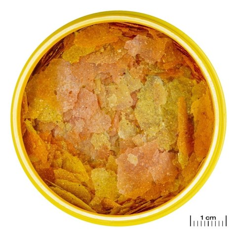 JBL Pronovo Color Flakes M 250ml - pokarm w płatkach wzmacniający kolory ryb JBL JBL Pronovo Color Flakes M 250ml - pokarm w płatkach wzmacniający kolory ryb JBL