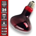 Komodo Infrared 50W - żarówka grzewcza podczerwona Komodo Komodo Infrared 50W - żarówka grzewcza podczerwona Komodo