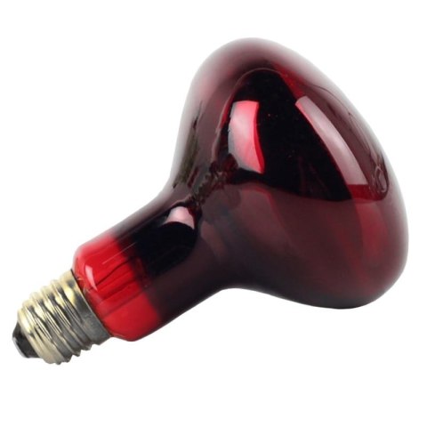 Komodo Infrared 50W - żarówka grzewcza podczerwona Komodo Komodo Infrared 50W - żarówka grzewcza podczerwona Komodo