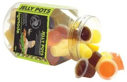 Komodo Jelly Pot Fruit Mix Jar - miks owocowy w żelu 60szt. Komodo