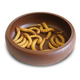 Komodo Mealworm Dish - miska na żywy pokarm Komodo
