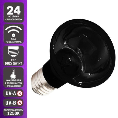 Komodo Moonlight 50W - nocna żarówka grzewcza Komodo Komodo Moonlight 50W - nocna żarówka grzewcza Komodo