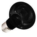 Komodo Moonlight 50W - nocna żarówka grzewcza Komodo