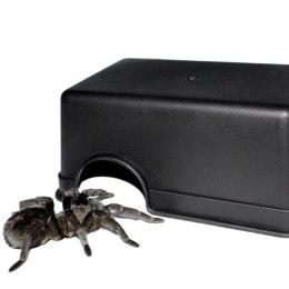 Terrario CubeCave - jaskinia miska na wodę i pokarm 17x12x7cm Terrario