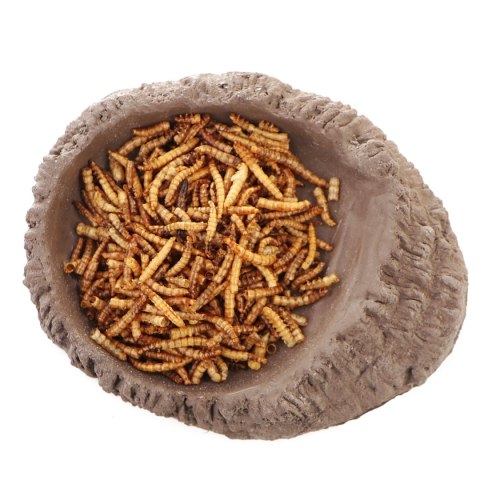 Terrario FoodWood M - miska na pokarm 14x12x2,5cm Terrario Terrario FoodWood M - miska na pokarm 14x12x2,5cm Terrario