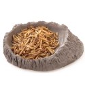 Terrario FoodWood M - miska na pokarm 14x12x2,5cm Terrario