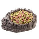 Terrario WaterWood M - miska na wodę 14x12x3cm Terrario