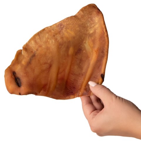 Dogario Bonni Pig's Ear L - duże wieprzowe ucho gryzak dla psa x10 Dogario Dogario Bonni Pig's Ear L - duże wieprzowe ucho gryzak dla psa x10 Dogario