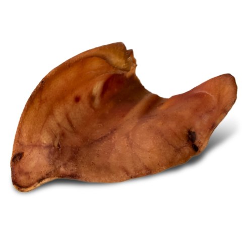 Dogario Bonni Pig's Ear L - duże wieprzowe ucho gryzak dla psa x10 Dogario Dogario Bonni Pig's Ear L - duże wieprzowe ucho gryzak dla psa x10 Dogario