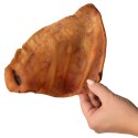 Dogario Bonni Pig's Ear L - duże wieprzowe ucho oferta hurtowa x50 Dogario