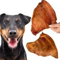 Dogario Bonni Pig's Ear L - duże wieprzowe ucho oferta hurtowa x50 Dogario