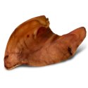 Dogario Bonni Pig's Ear L - duże wieprzowe ucho oferta hurtowa x50 Dogario
