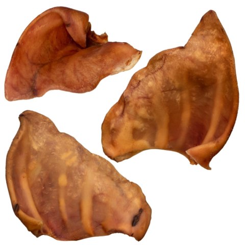 Dogario Bonni Pig's Ear L - duże wieprzowe ucho oferta hurtowa x50 Dogario Dogario Bonni Pig's Ear L - duże wieprzowe ucho oferta hurtowa x50 Dogario