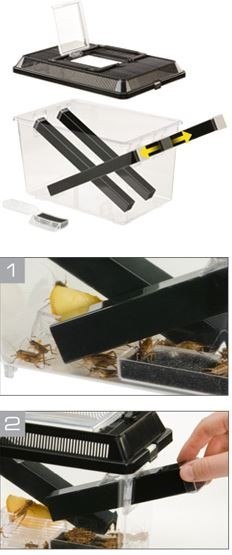 EXO TERRA Cricket Pen L Terrarium na karmówkę (30x20,5x19,5cm) Exo terra