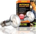 EXO TERRA Intense Basking Spot 25W (żarówka grzewcza) Exo terra EXO TERRA Intense Basking Spot 25W (żarówka grzewcza) Exo terra
