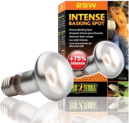 EXO TERRA Intense Basking Spot 25W (żarówka grzewcza) Exo terra