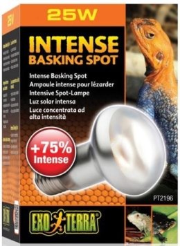 EXO TERRA Intense Basking Spot 25W (żarówka grzewcza) Exo terra