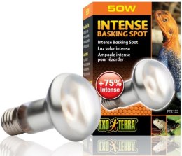 EXO TERRA Intense Basking Spot 50W (żarówka grzewcza) Exo terra