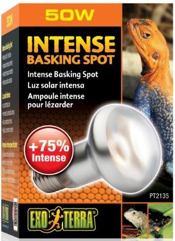 EXO TERRA Intense Basking Spot 50W (żarówka grzewcza) Exo terra EXO TERRA Intense Basking Spot 50W (żarówka grzewcza) Exo terra