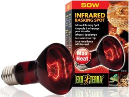 EXO TERRA Podczerwona żarówka grzewcza 50W Exo terra