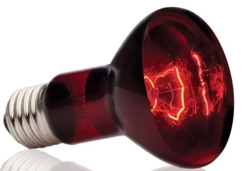 EXO TERRA Podczerwona żarówka grzewcza 50W Exo terra EXO TERRA Podczerwona żarówka grzewcza 50W Exo terra