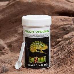 Exo Terra Multi Vitamin 70g - witaminy dla gadów i płazów Exo terra