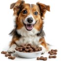 Furrever Friends Training Cookie - ciasteczka trenerki 100g Furrever Friends