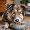 Furrever Friends Training Cookie - ciasteczka trenerki 100g Furrever Friends